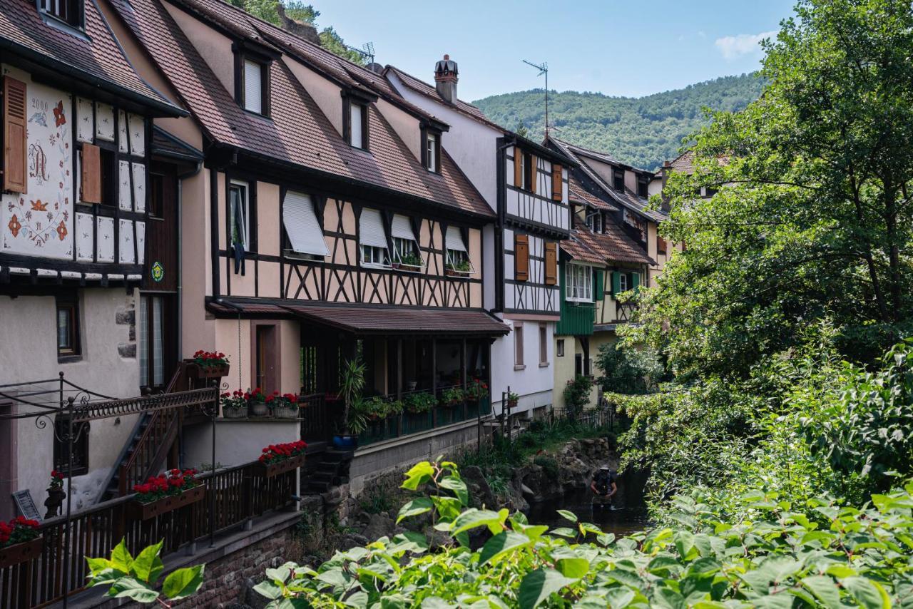 Gite Au Coeur Du Vieux Kaysersberg - Parking Prive & Wifi Luaran gambar